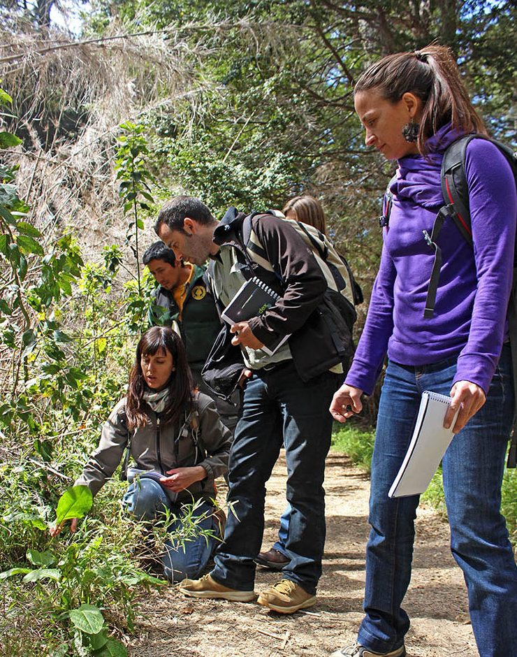 equipo de parques trabajando con plantas