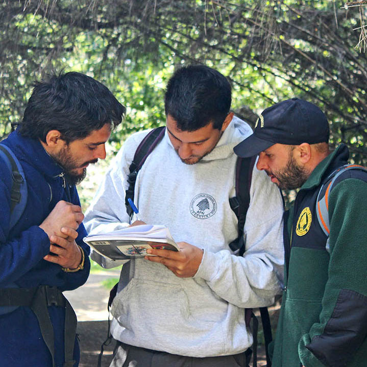 equipo de parques trabajando