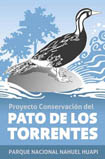 pato de los torrentes